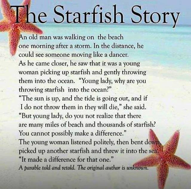 starfish story