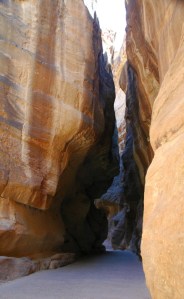 Hidden in the cleft of the rock