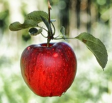 Choice with no consequences is no choice at all