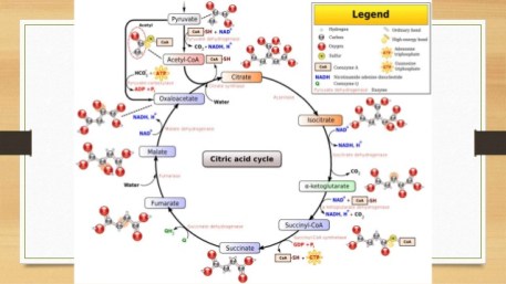 Designed to the Microscopic detail