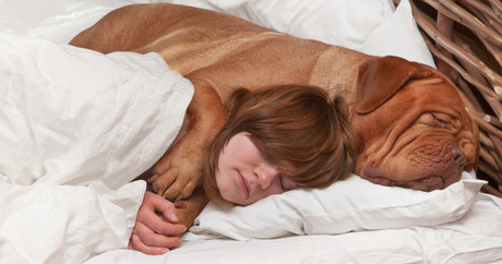 file_17258_column_should-i-sleep-with-my-dog