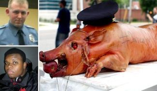 proxy_c5-0-574-332_s561x327