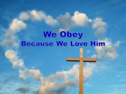 we obey